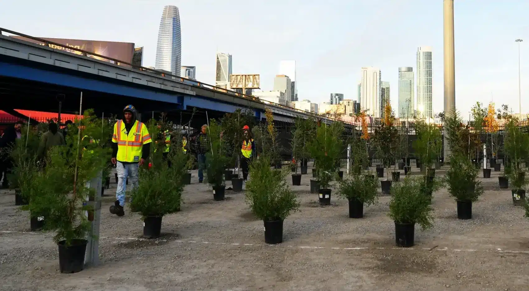 San Francisco First Street Tree Nursery